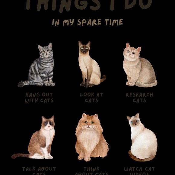 Things I Do Cat Lover Tshirt - Picture 6 of 6